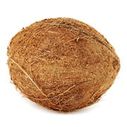 coconut