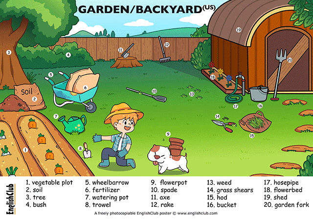 garden or backyard vocabulary